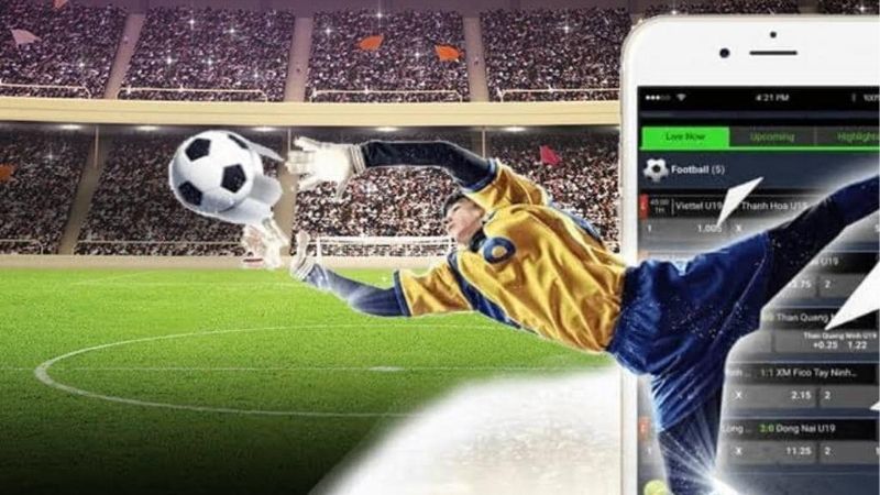 Tiết Lộ Cách Nhà Cái Dụ Kèo - Bí Quyết Tránh Bẫy Nhà Cái