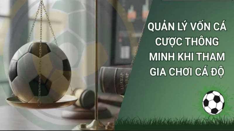 Những sai lầm chết người trong quản lý tài chính cá cược